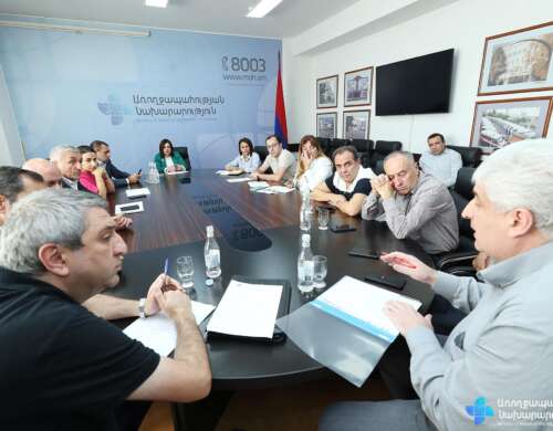 Встреча министра здравоохранения Анаит Аванесян с армянскими производителями и импортерами лекарственных средств
