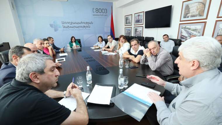 Meeting with Armenian manufacturers and importers of medicinal products